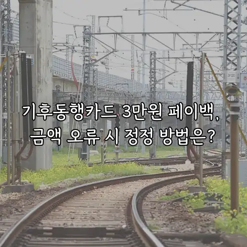 기후동행카드 3만원 페이백, 금액 오류 시 정정 방법은?