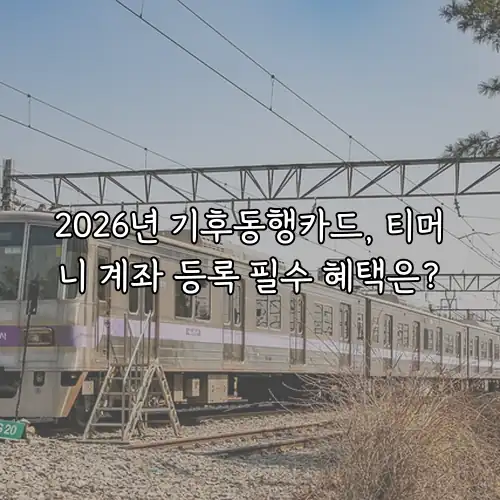 2026년 기후동행카드, 티머니 계좌 등록 필수 혜택은?