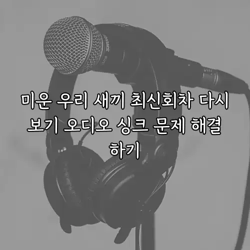 미운 우리 새끼 최신회차 다시보기 오디오 싱크 문제 해결하기