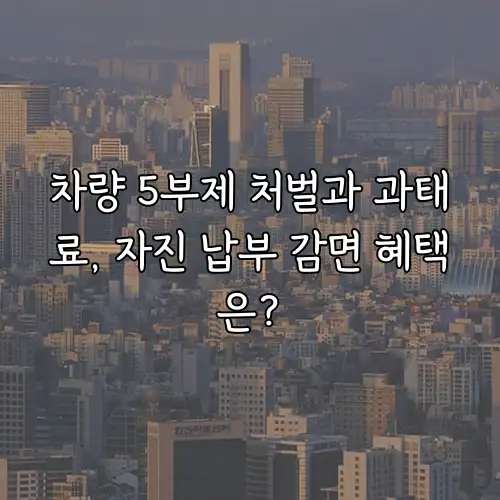 차량 5부제 처벌과 과태료, 자진 납부 감면 혜택은?
