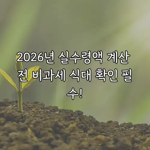 2026년 실수령액 계산 전 비과세 식대 확인 필수!