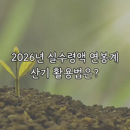 2026년 실수령액 연봉계산기 활용법은?