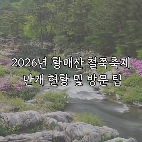 2026년 황매산 철쭉축제 만개 현황 및 방문 팁