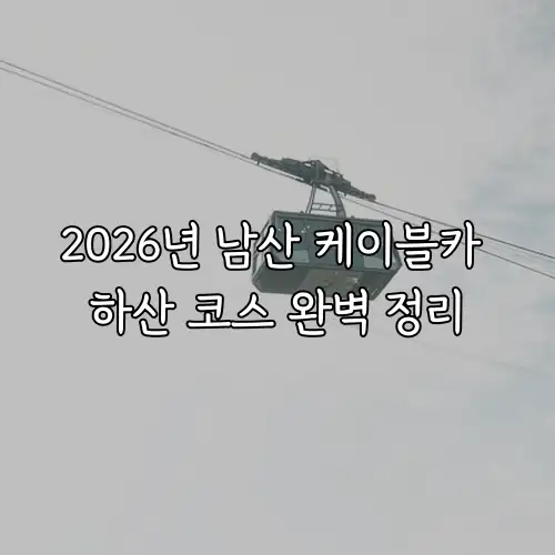 2026년 남산 케이블카 하산 코스 완벽 정리