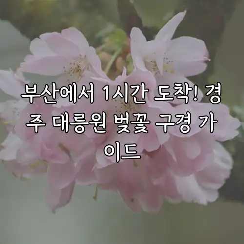 부산에서 1시간 도착! 경주 대릉원 벚꽃 구경 가이드