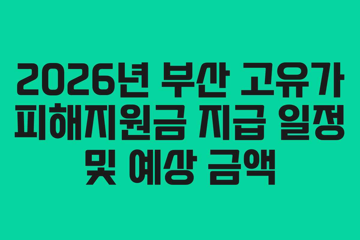 2026년 부산 고유가 피해지원금 지급 일정 및 예상 금액