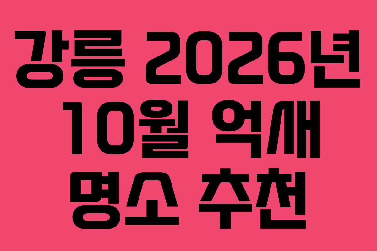 강릉 2026년 10월 억새 명소 추천
