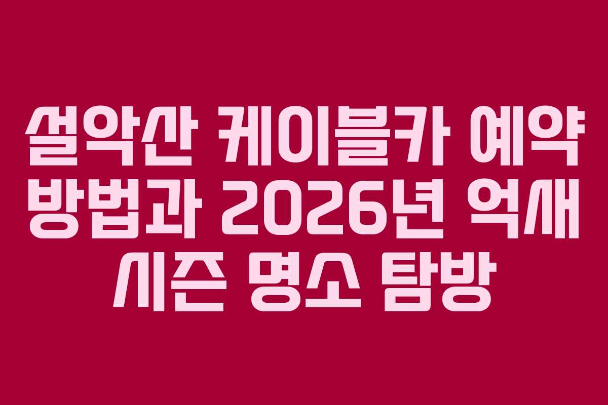 설악산 케이블카 예약 방법과 2026년 억새 시즌 명소 탐방