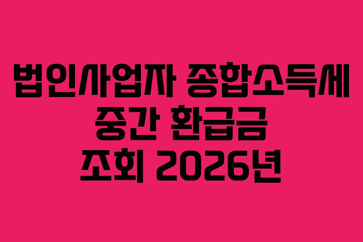 법인사업자 종합소득세 중간 환급금 조회 2026년