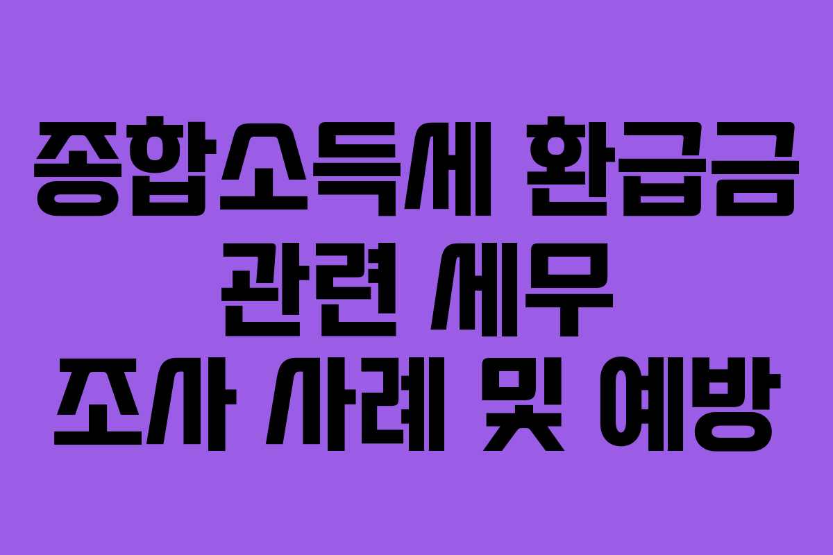 종합소득세 환급금 관련 세무 조사 사례 및 예방
