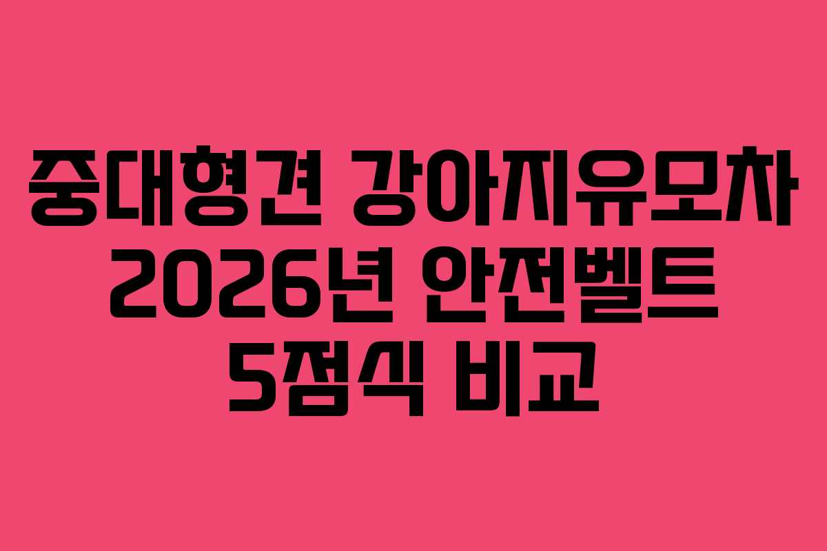 중대형견 강아지유모차 2026년 안전벨트 5점식 비교