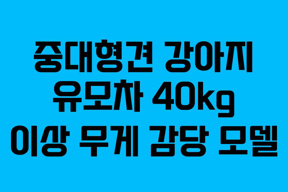 중대형견 강아지 유모차 40kg 이상 무게 감당 모델