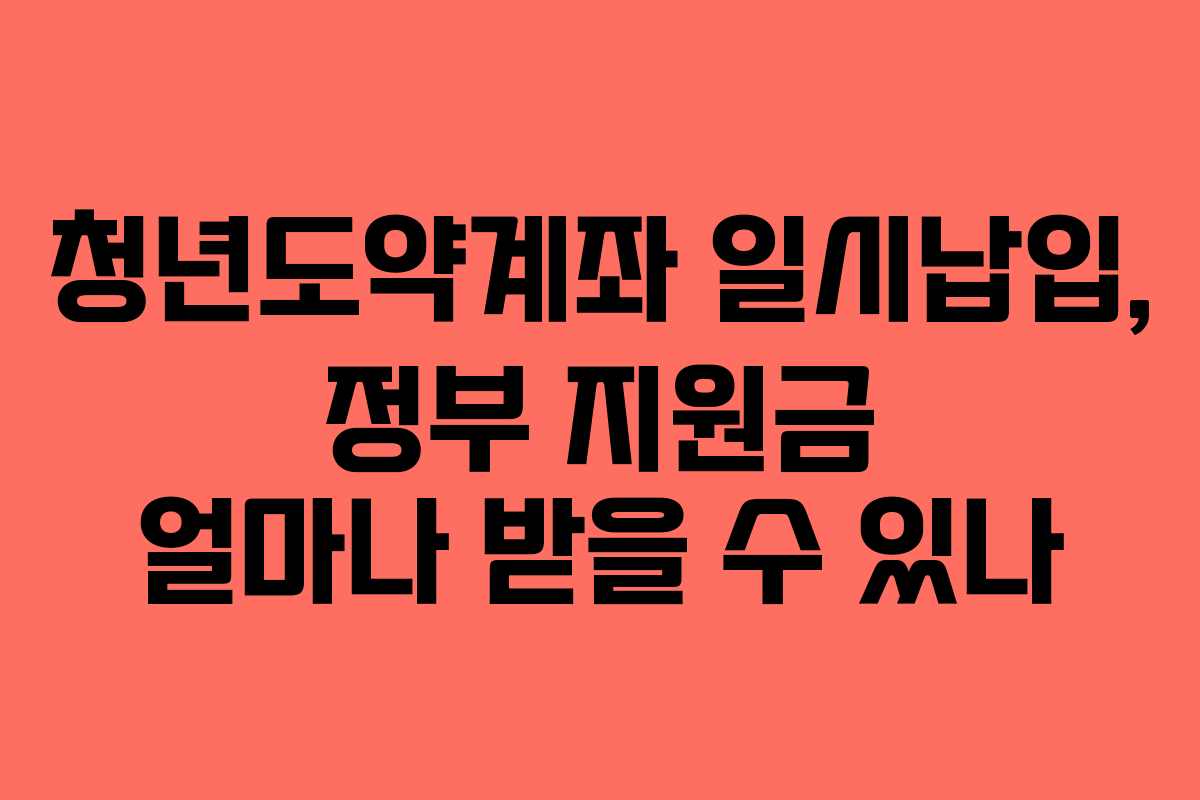 청년도약계좌 일시납입, 정부 지원금 얼마나 받을 수 있나