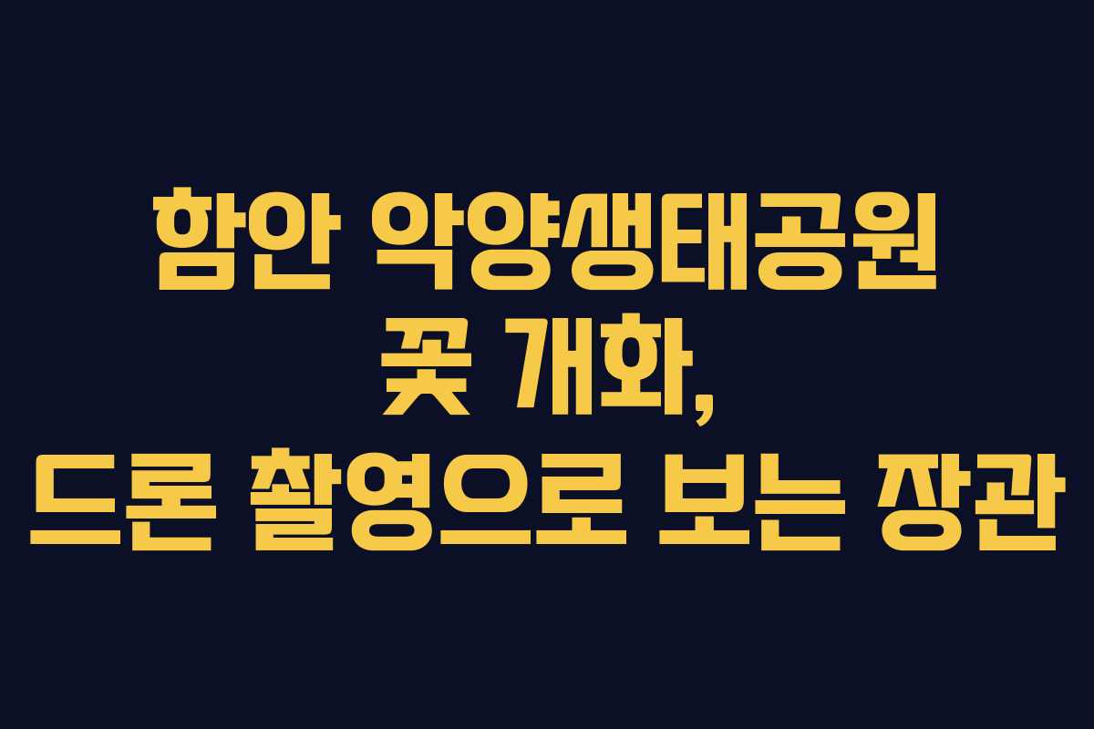 함안 악양생태공원 꽃 개화, 드론 촬영으로 보는 장관 함안 악양생태공원 꽃 개화, 드론 촬영으로 보는 장관