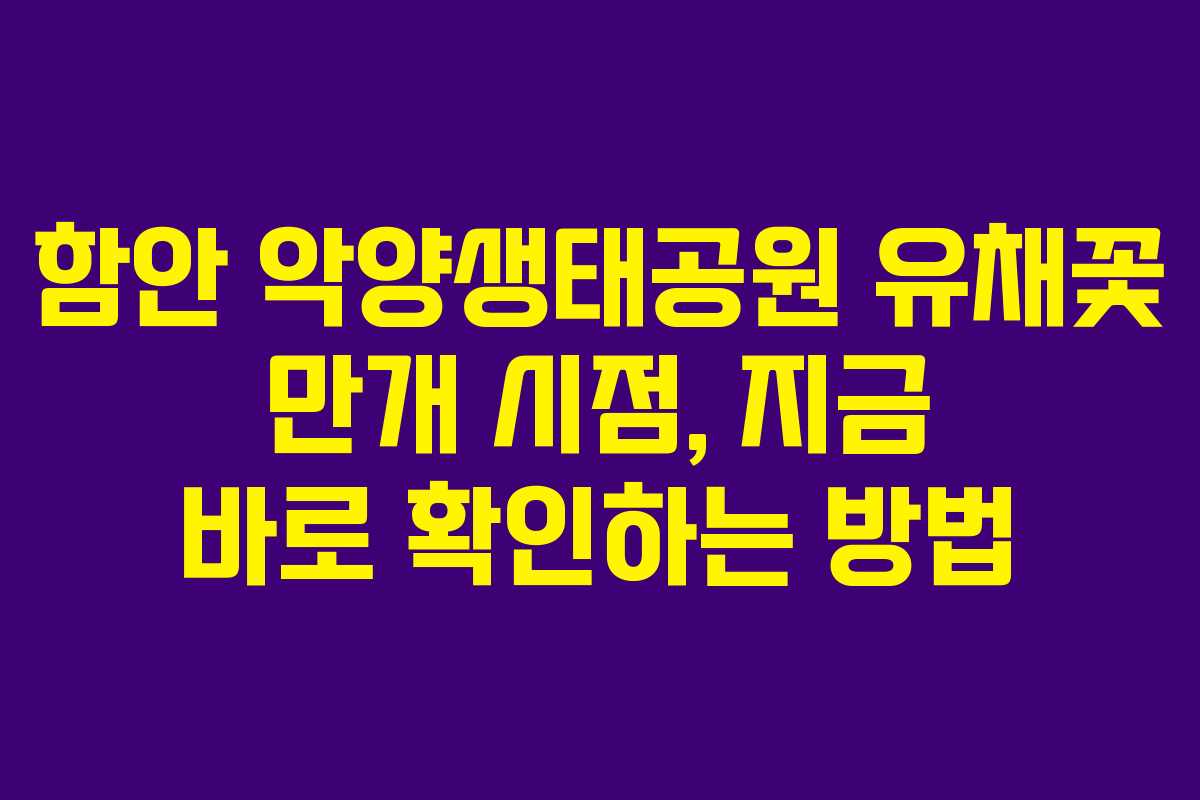 함안 악양생태공원 유채꽃 만개 시점, 지금 바로 확인하는 방법