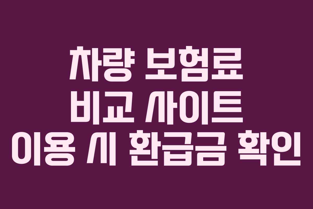 차량 보험료 비교 사이트 이용 시 환급금 확인