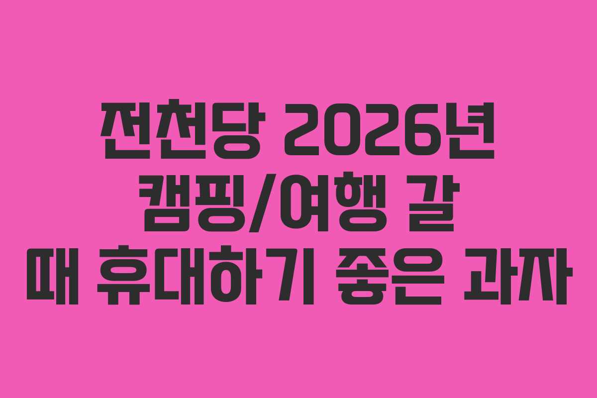 전천당 2026년 캠핑/여행 갈 때 휴대하기 좋은 과자