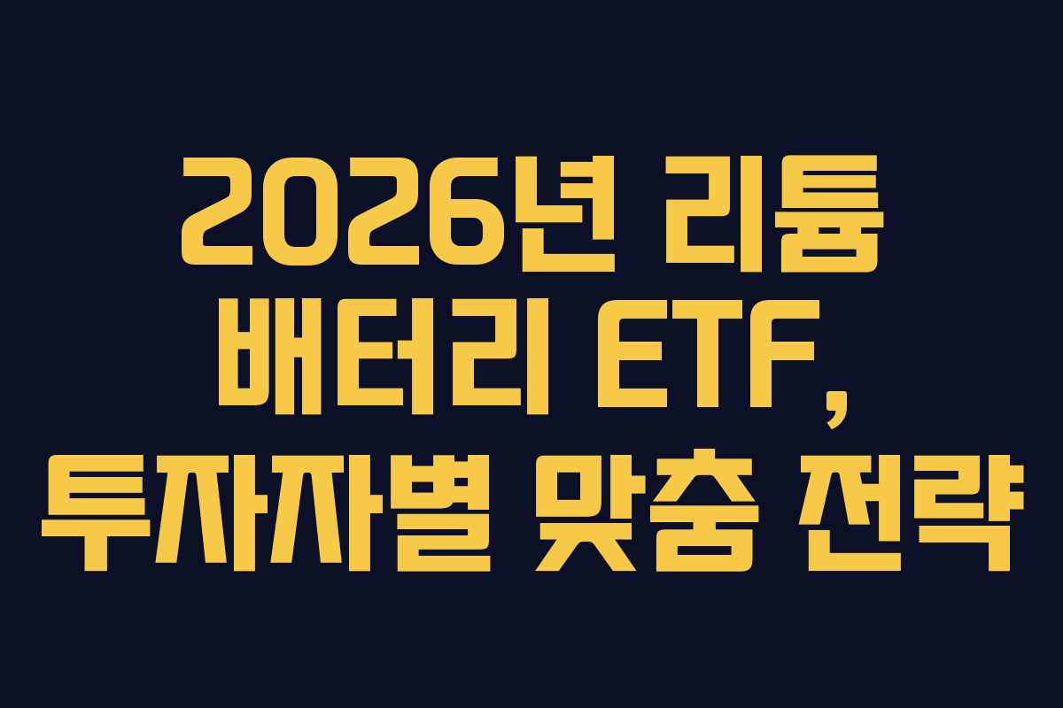 2026년 리튬 배터리 ETF, 투자자별 맞춤 전략