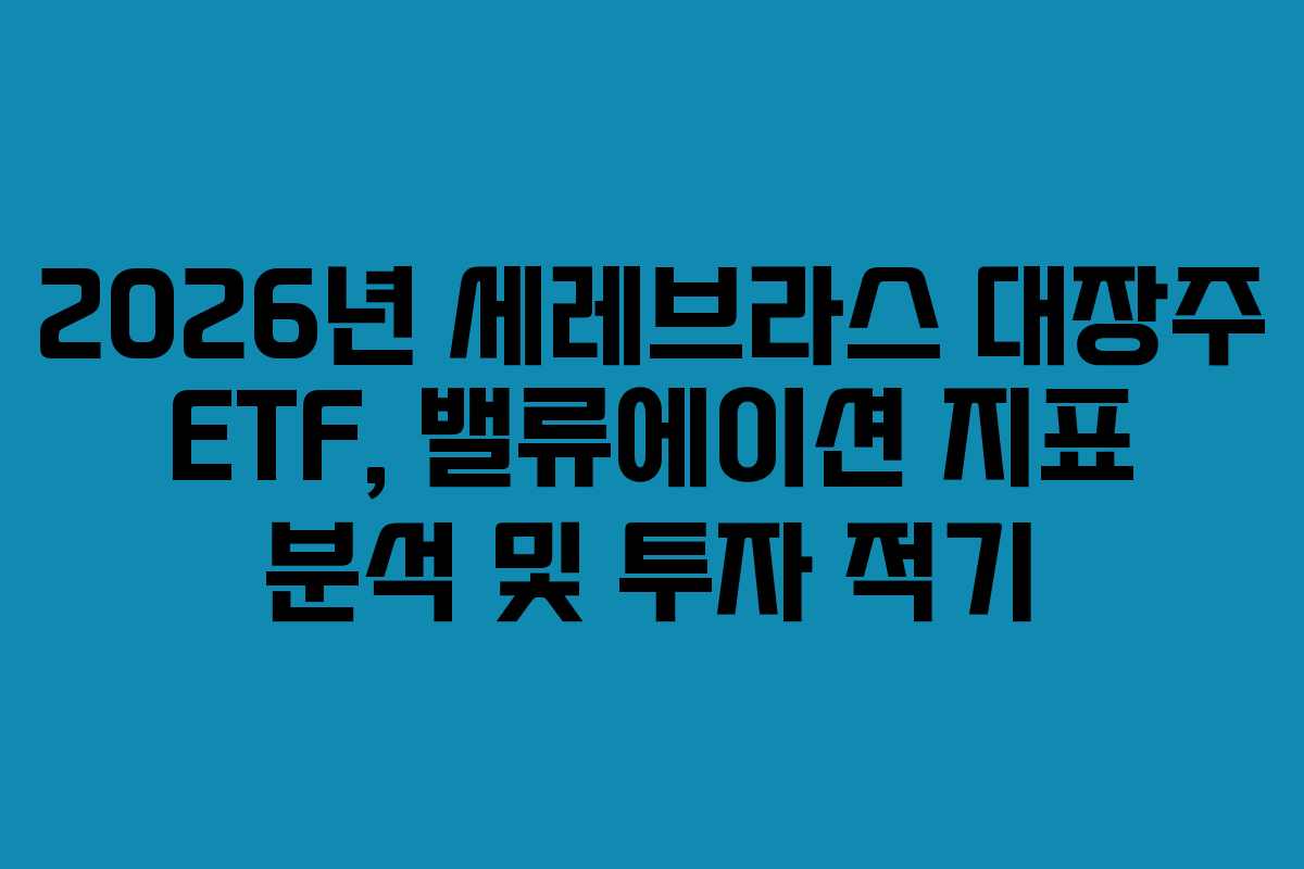 2026년 세레브라스 대장주 ETF, 밸류에이션 지표 분석 및 투자 적기