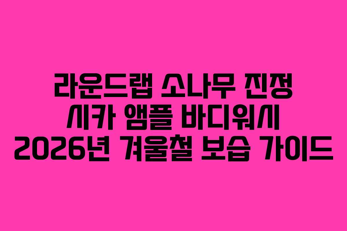 라운드랩 소나무 진정 시카 앰플 바디워시 2026년 겨울철 보습 가이드