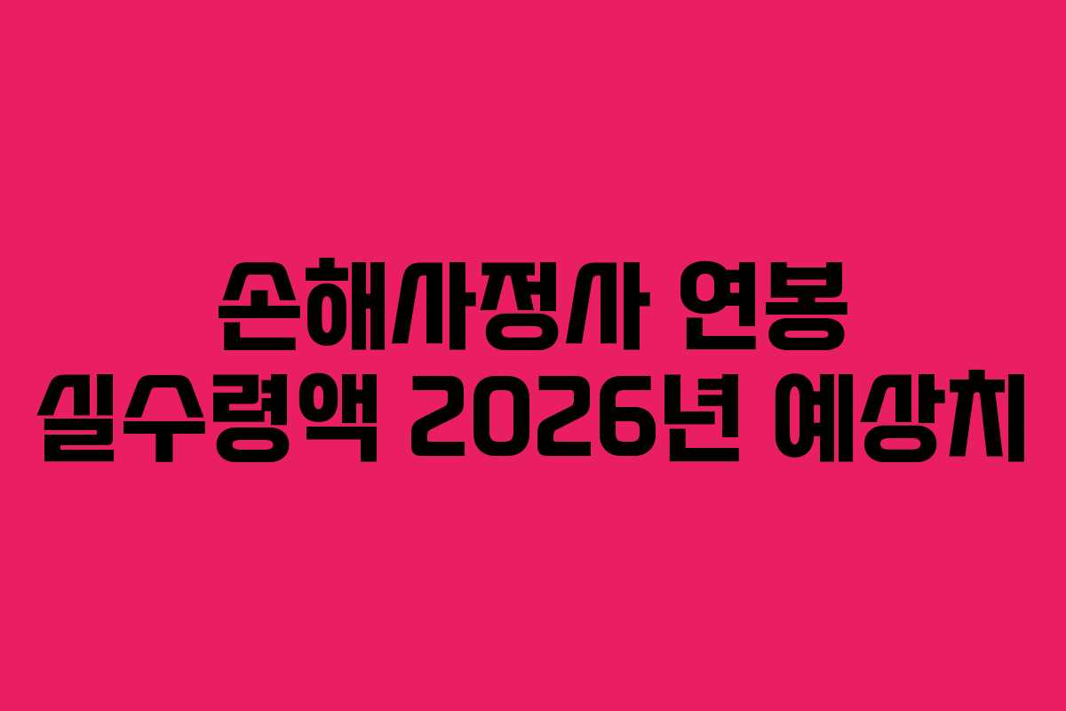손해사정사 연봉 실수령액 2026년 예상치