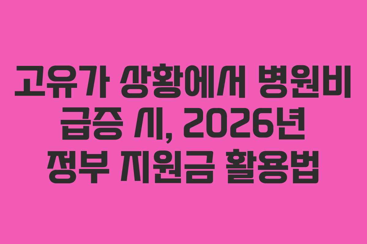고유가 상황에서 병원비 급증 시, 2026년 정부 지원금 활용법