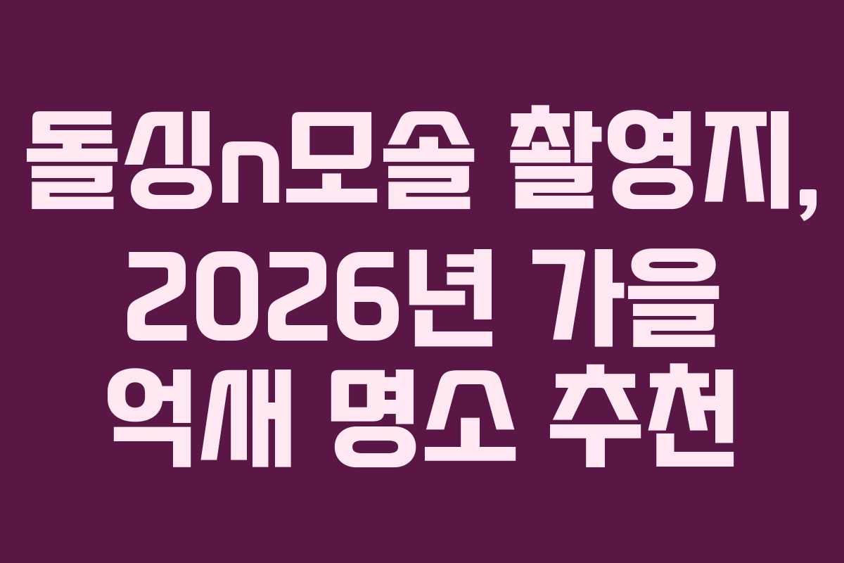 돌싱n모솔 촬영지, 2026년 가을 억새 명소 추천