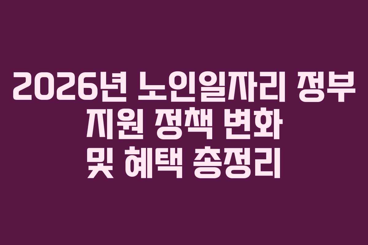 2026년 노인일자리 정부 지원 정책 변화 및 혜택 총정리
