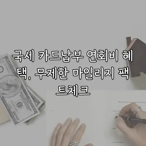 국세 카드납부 연회비 혜택, 무제한 마일리지 팩트체크