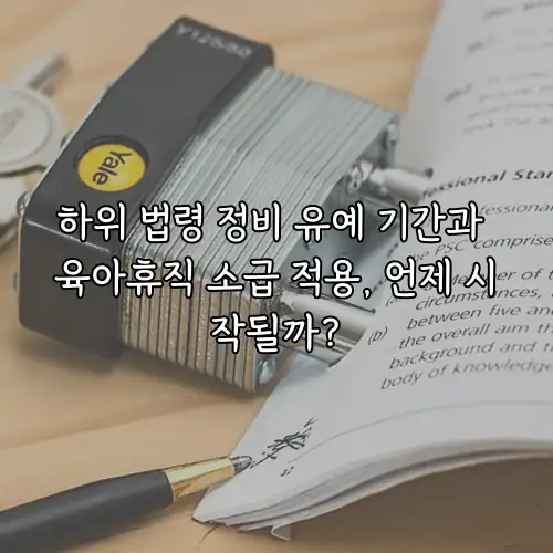 하위 법령 정비 유예 기간과 육아휴직 소급 적용, 언제 시작될까?