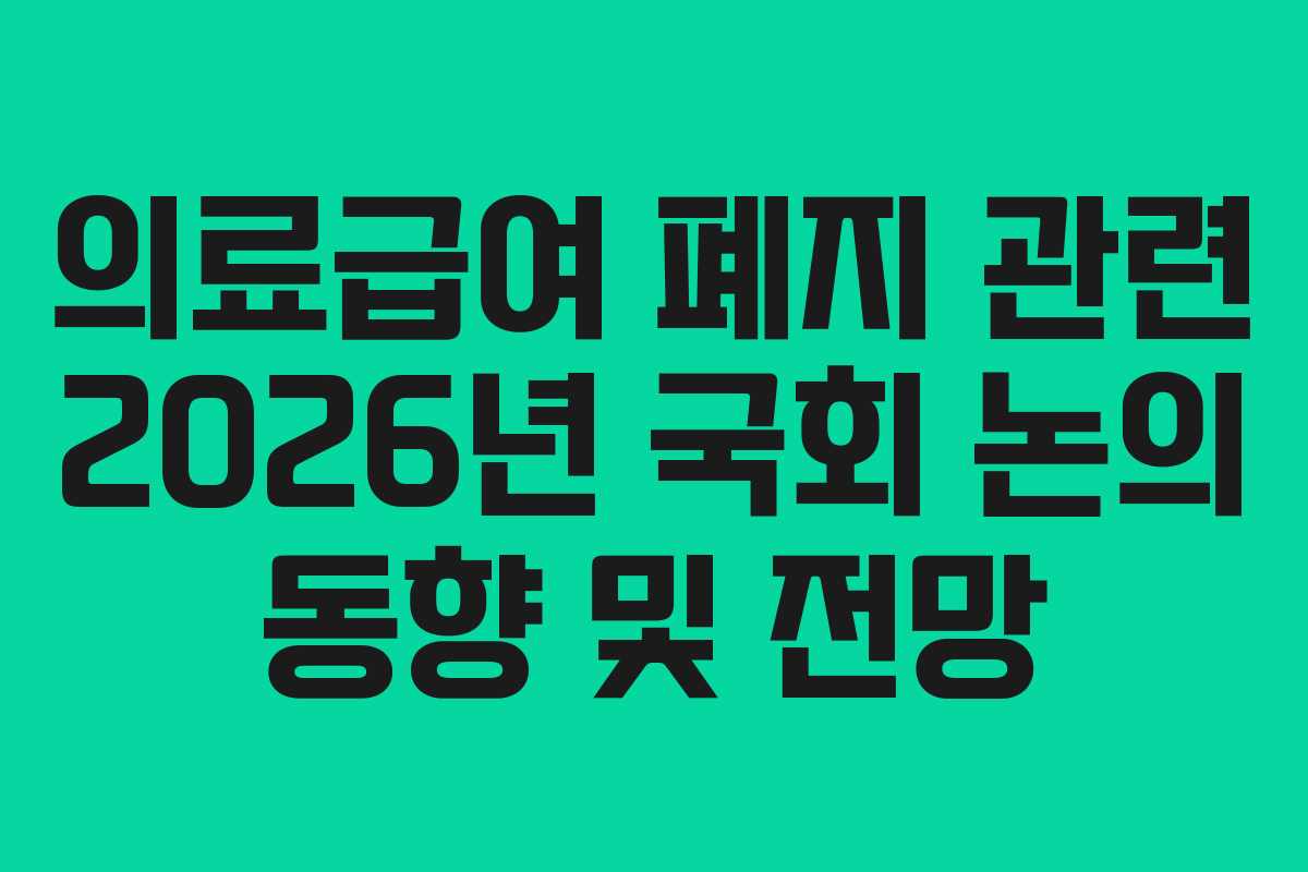 의료급여 폐지 관련 2026년 국회 논의 동향 및 전망