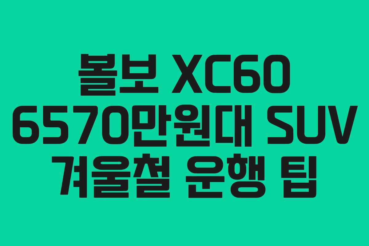 볼보 XC60 6570만원대 SUV 겨울철 운행 팁