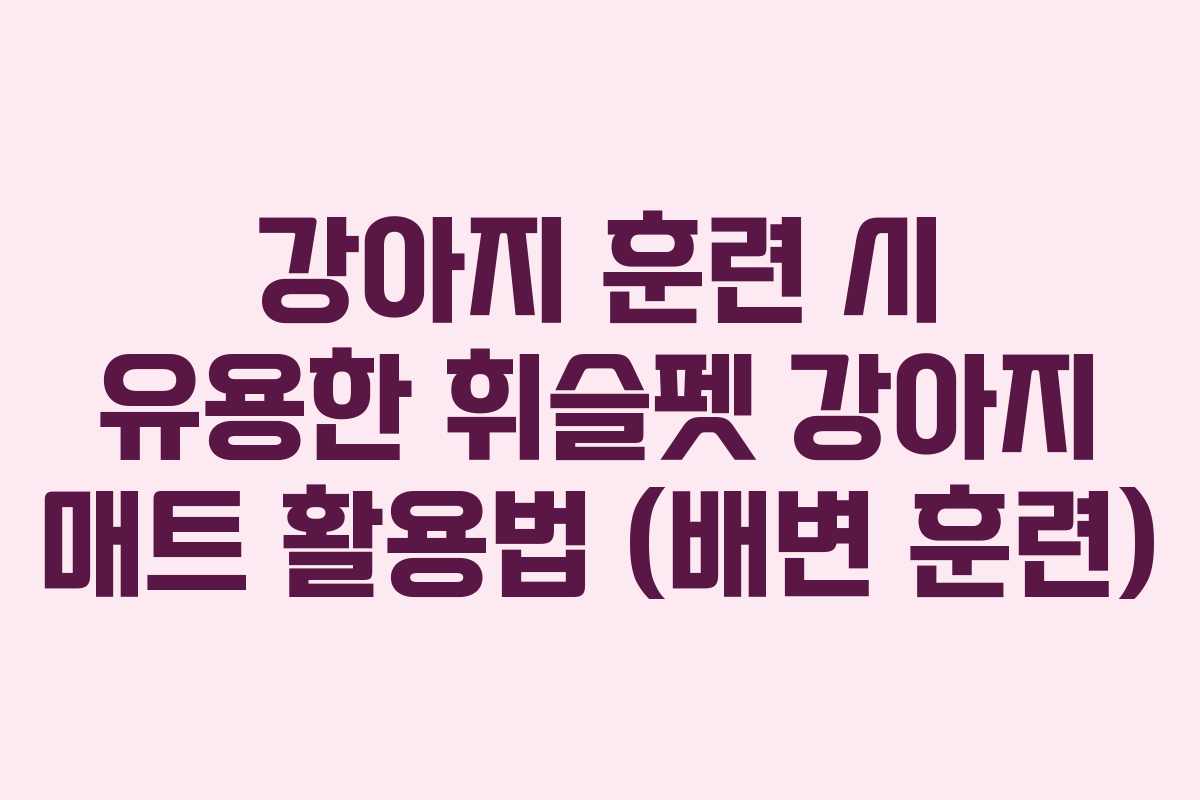 강아지 훈련 시 유용한 휘슬펫 강아지 매트 활용법 (배변 훈련)