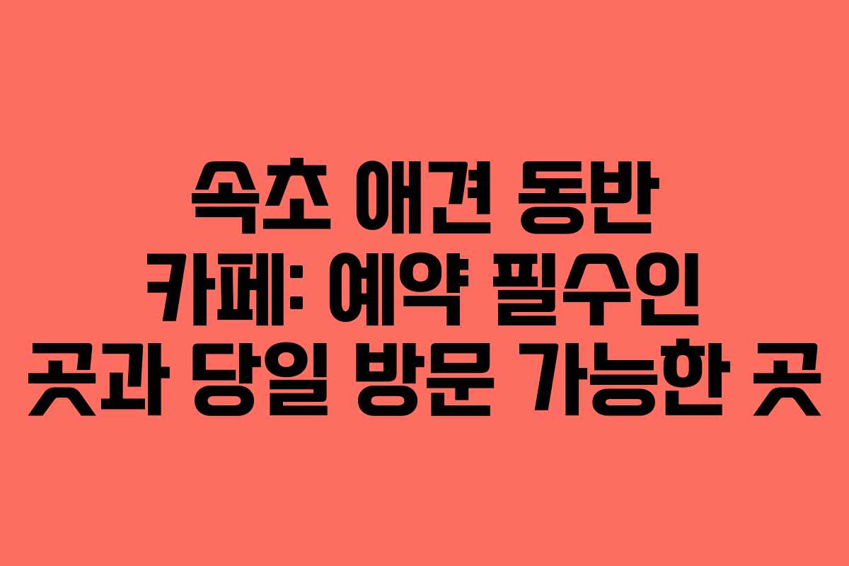 속초 애견 동반 카페: 예약 필수인 곳과 당일 방문 가능한 곳