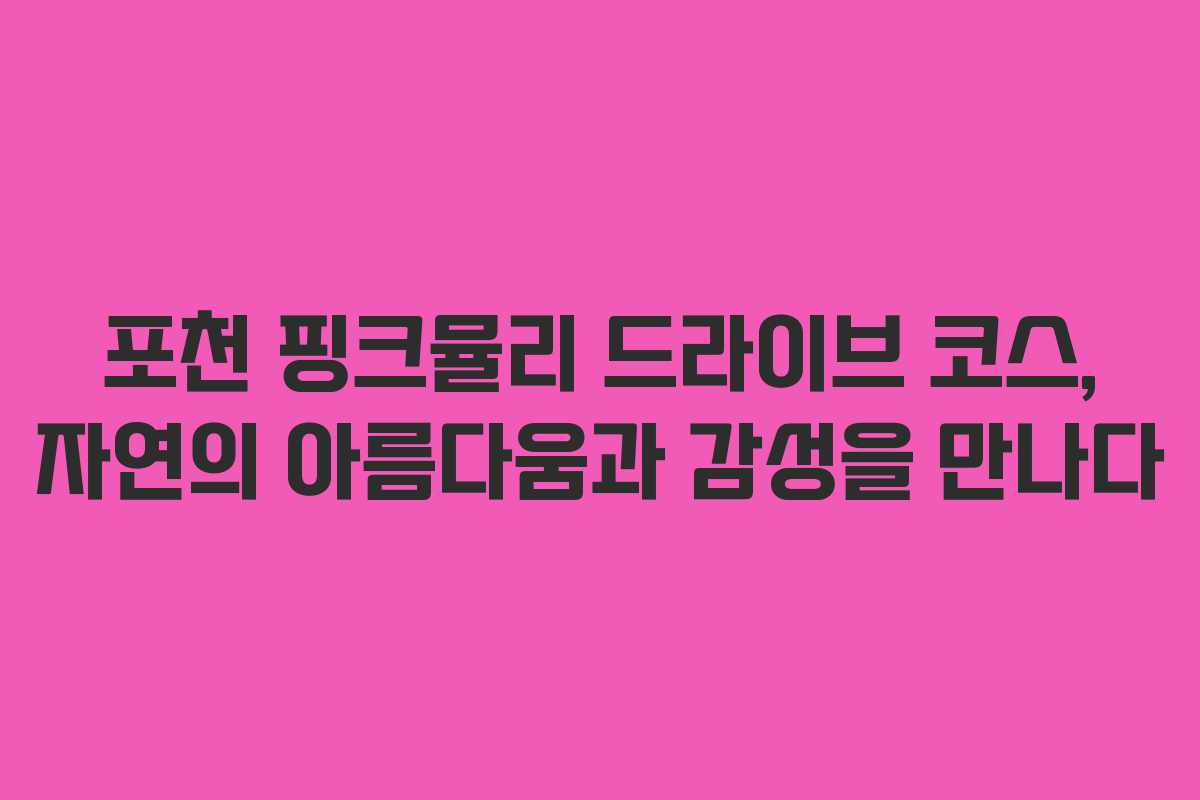 포천 핑크뮬리 드라이브 코스, 자연의 아름다움과 감성을 만나다 포천 핑크뮬리 드라이브 코스, 자연의 아름다움과 감성을 만나다