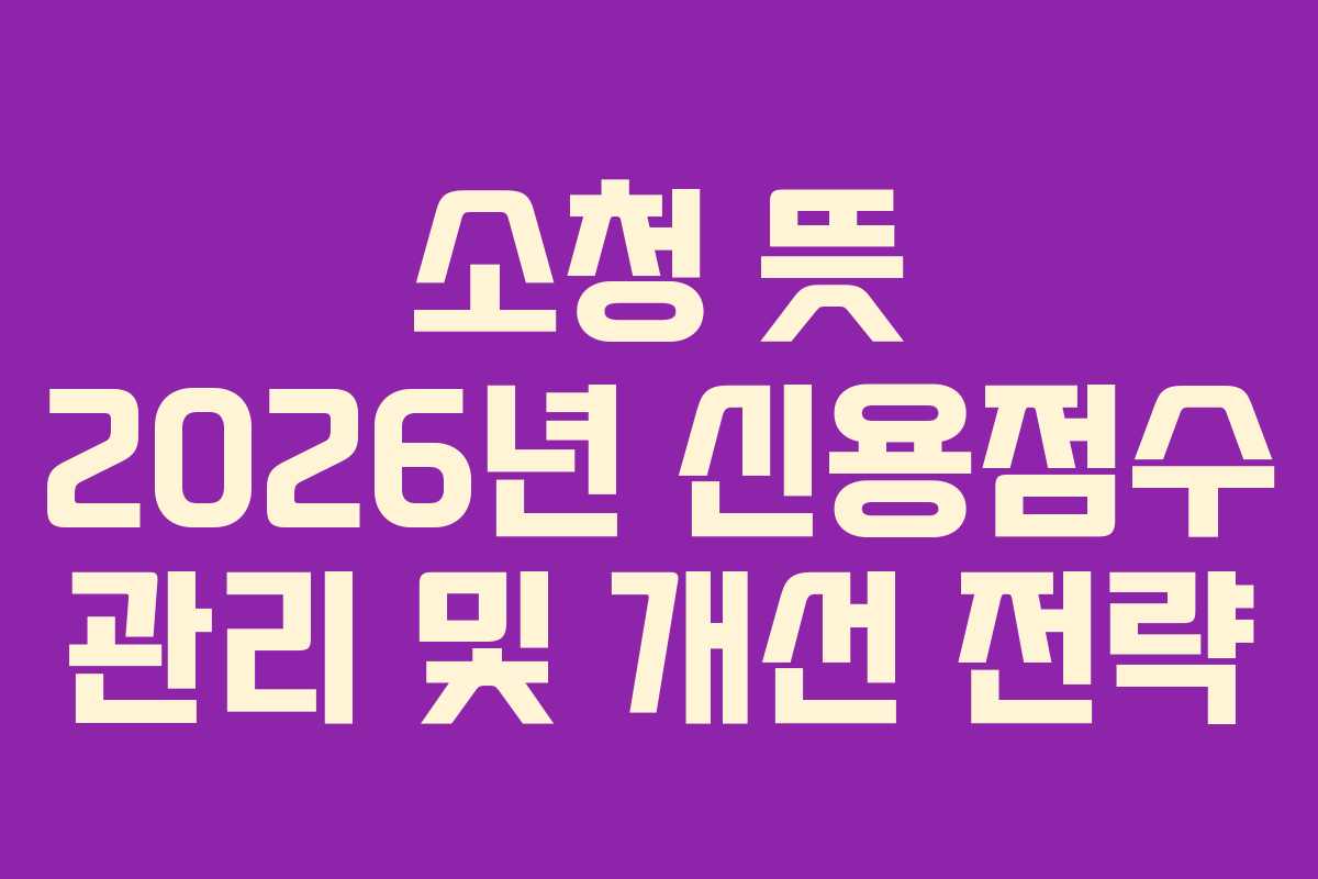 소청 뜻 2026년 신용점수 관리 및 개선 전략